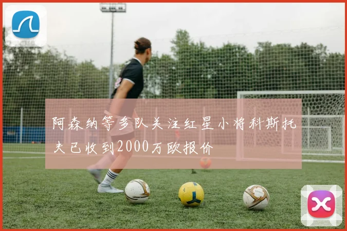 阿森纳等多队关注红星小将科斯托夫已收到2000万欧报价