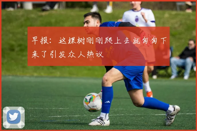 早报：这棵树刚刚爬上去就匆匆下来了引发众人热议